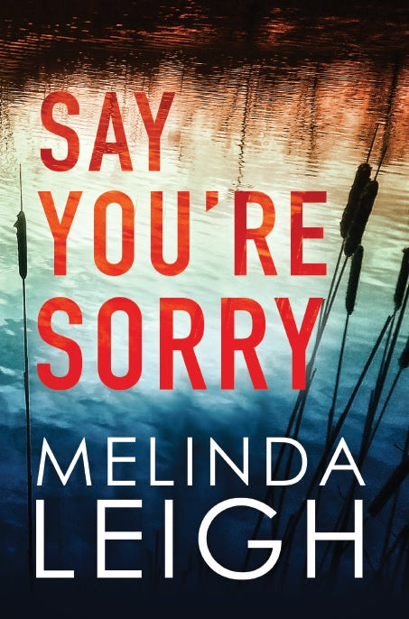 Say You're Sorry (Morgan Dane, Book 1) by Melinda Leigh