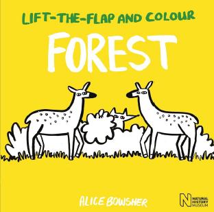 Lift-the-flap and Colour Forest by Alice Bowsher