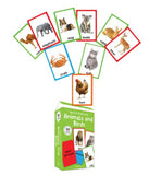 My First Flash Cards Animal And Birds : 30 Early Learning Flash Cards For Kids