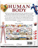 Knowledge Encyclopedia - Human Body