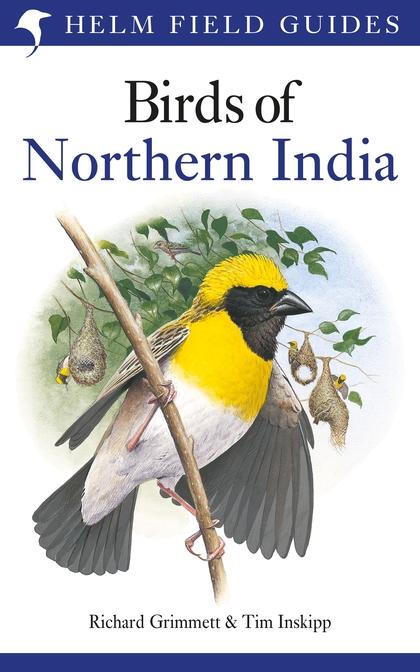 Birds of Northern India by Richard Grimmett & Tim Inskipp
