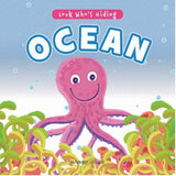 Look Who's Hiding - Ocean : Pull The Tab Novelty Books For Children by Wonder House Books