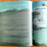 Birds and Beasts (Enchanting Tales of India - A Retelling)