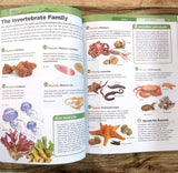 Knowledge Encyclopedia - Animals