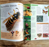 The New Children's Encyclopedia