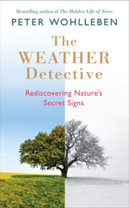 The Weather Detective: Rediscovering Nature’s Secret Signs